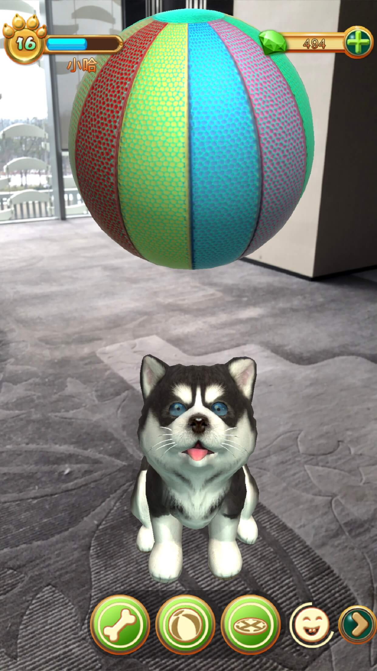 示例图4：宠物玩顶球游戏